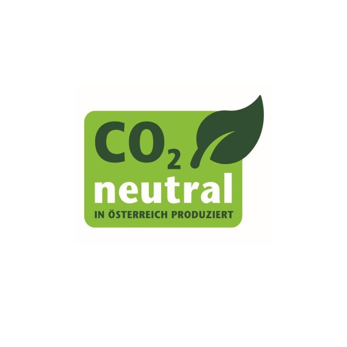 Riess Pommes-Frites Pfanne mit Einsatz Ø24cm zwei Griffe Schwarz Emaille Induktion