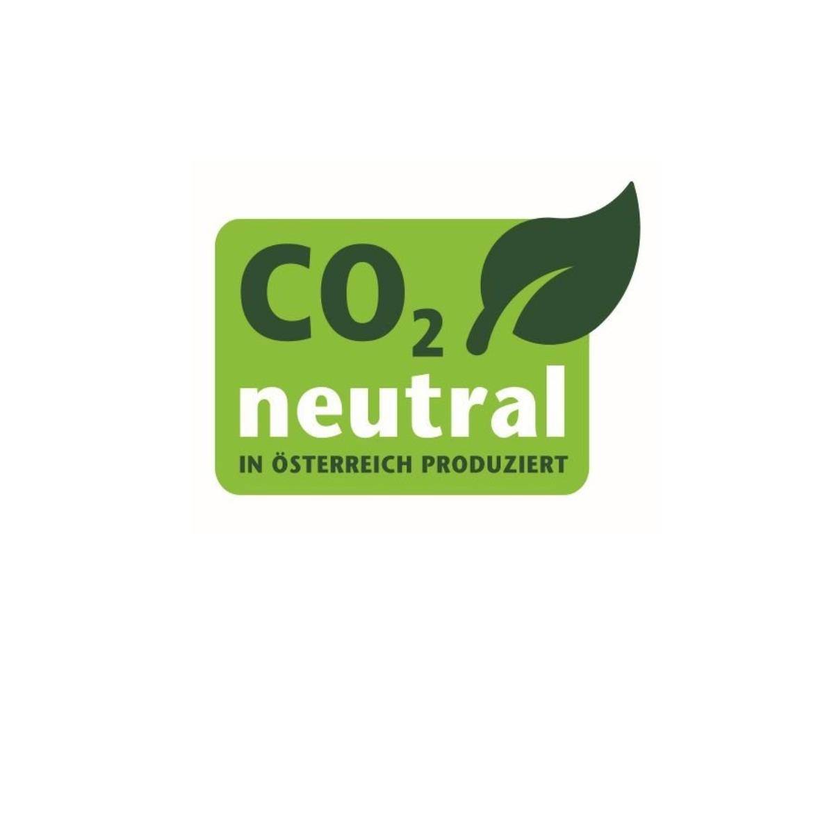 Riess Schmor- Bratpfanne mit Glasdeckel Ø20cm schwarz Emaille