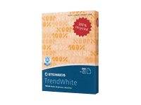 Igepa Steinbeis - Trend White - A4 (210 x 297 mm) - 80 g/m²