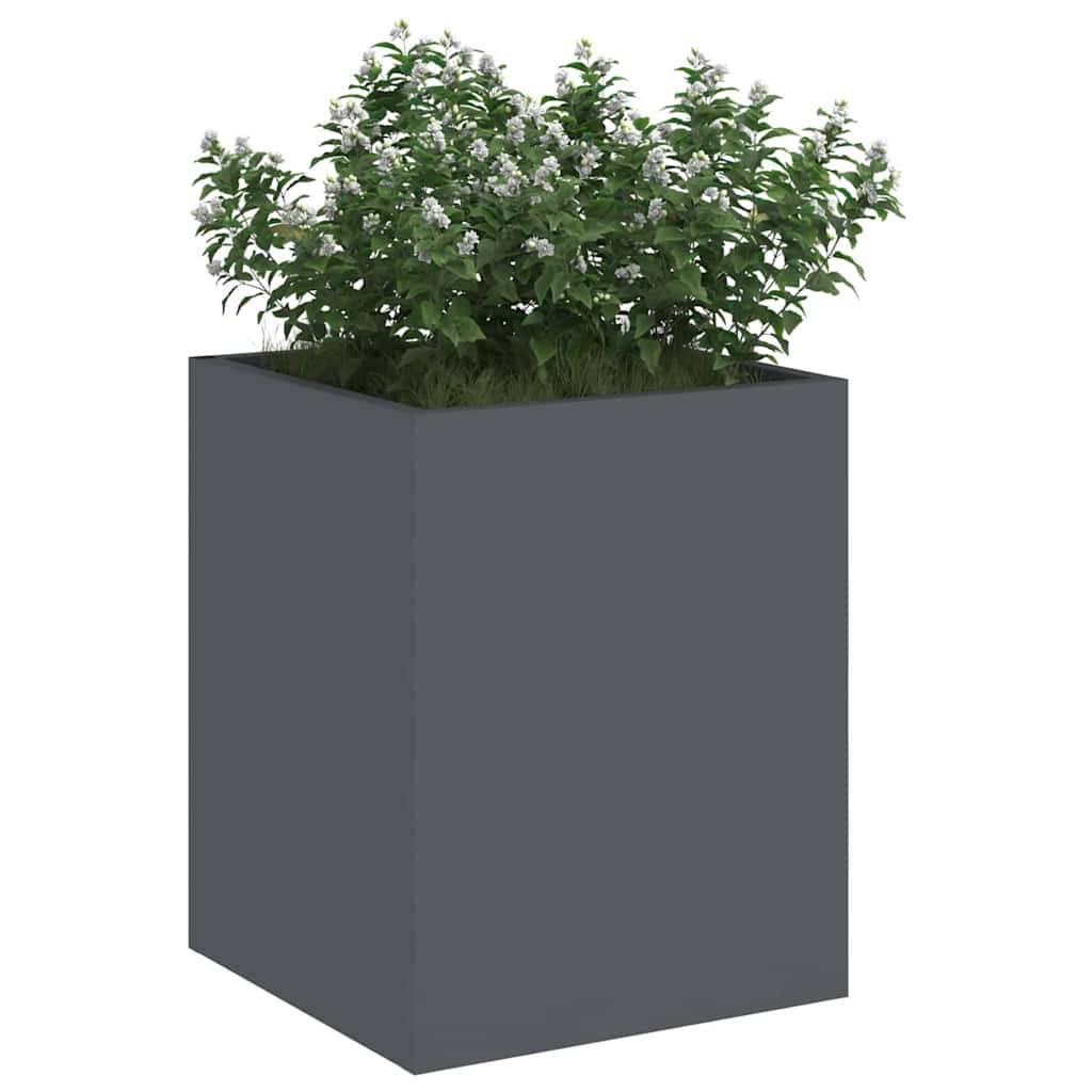 Eine große, quadratische, graue Pflanzbox, gefüllt mit üppigen grünen Pflanzen und kleinen weißen Blumen, auf einem weißen Hintergrund platziert.