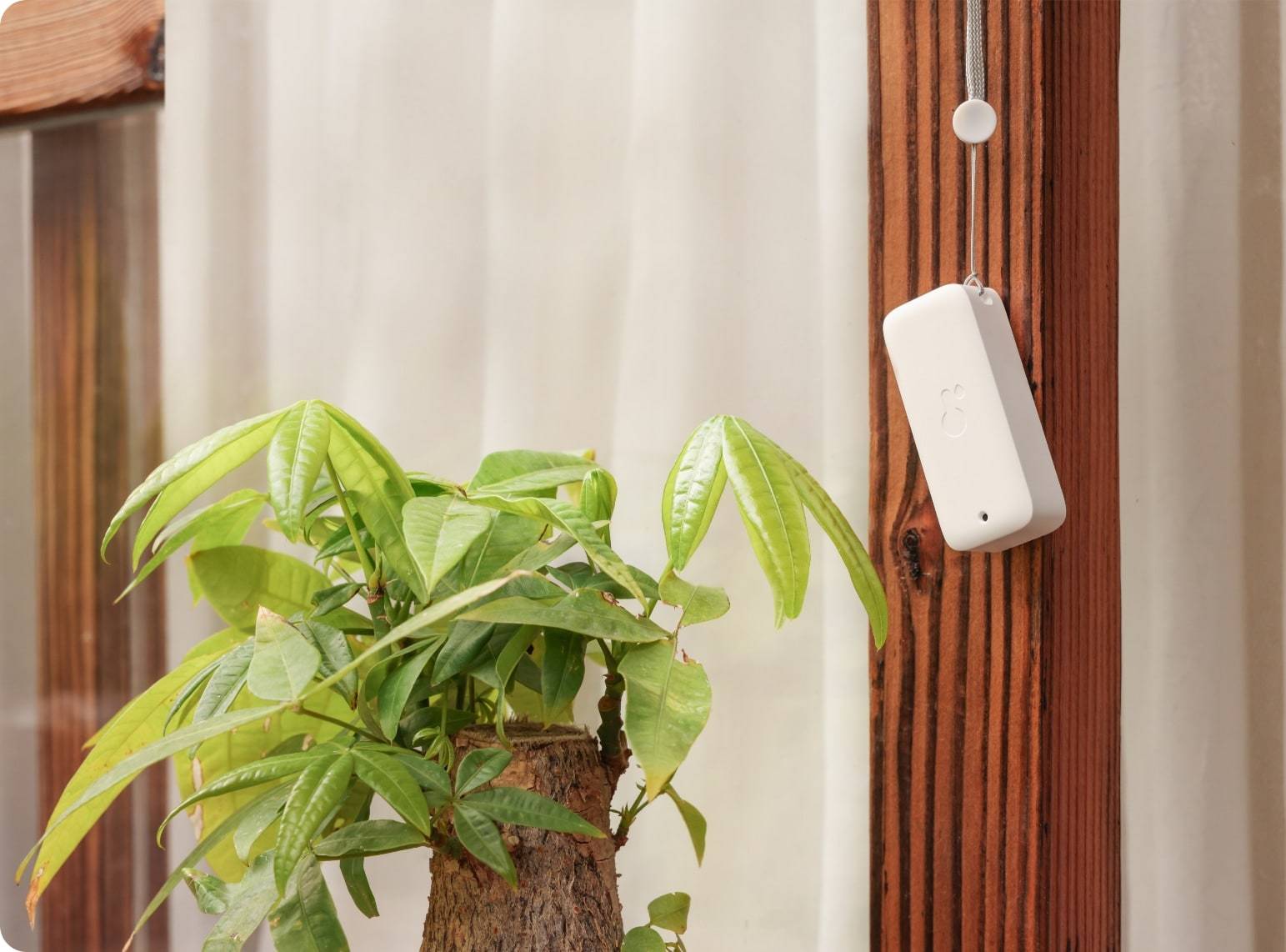 SWITCHBOT WLAN Hygrometer Thermometer, Innen/Außen, 3er-Pack mit mini Hub, weiß