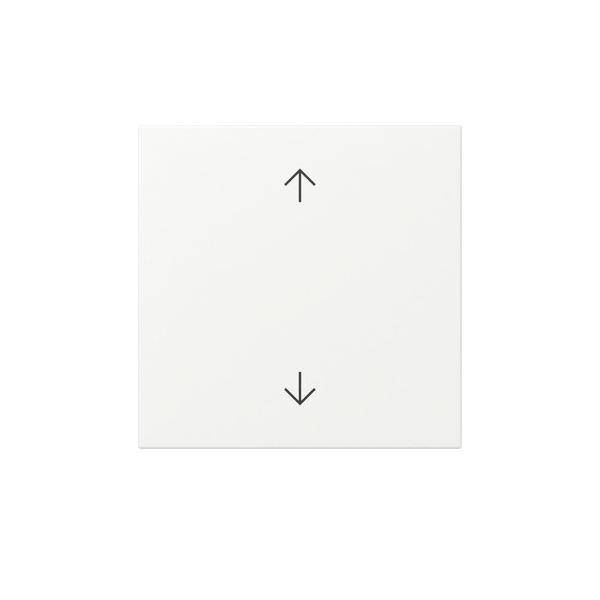 Gira Wippe Pfeile 361627