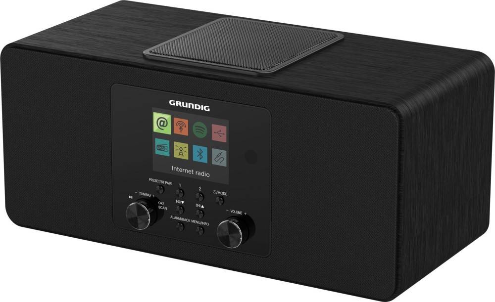 Grundig Internet/Digitalradio DTR 6100 2.1 DAB+ sw