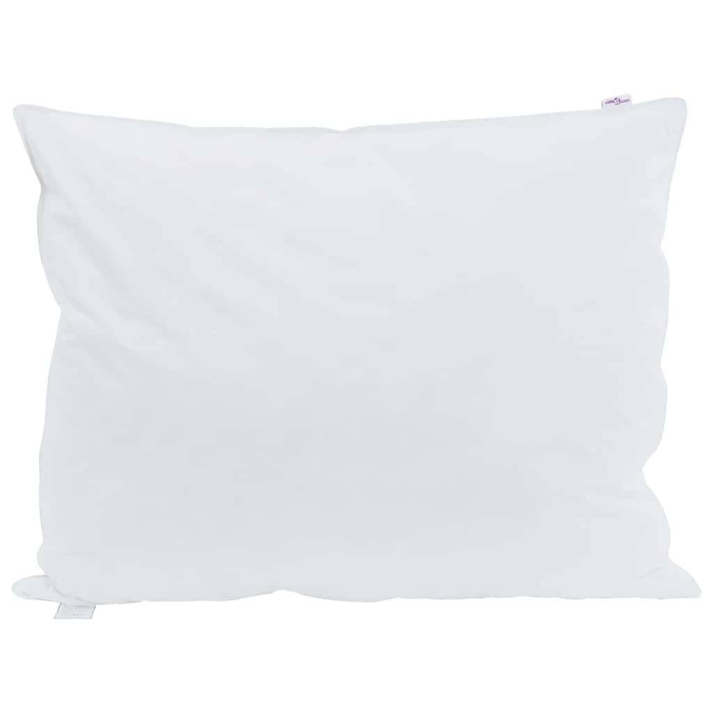 vidaXL Kopfkissen mit Kissen 2 pcs Weiß 70 x 90 cm Feder