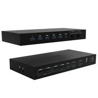 Zwei schwarze rechteckige USB-Hub-/Schalterboxen, die im Winkel dargestellt sind, jede mit mehreren USB-Anschlüssen auf der Frontplatte und Tasten auf weißem Hintergrund.