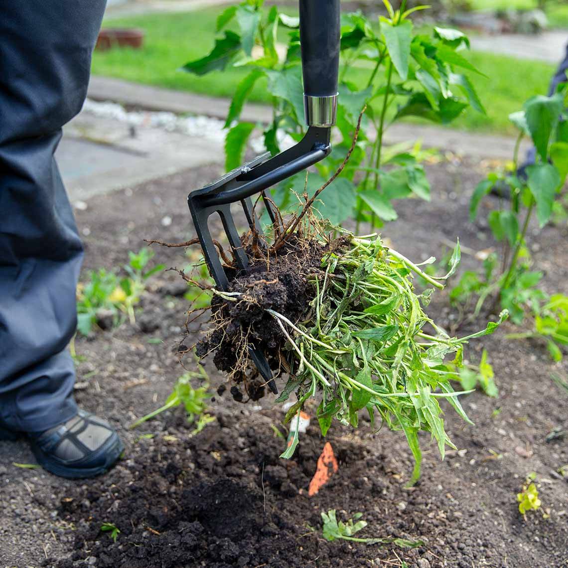 Hammersmith RayzerShovel + Spatengabel-Aufsatz - Spaten mit Wurzelsäge für harte, steinige Böden - Breite Trittkante - Gartenspaten - Gärtnerspate