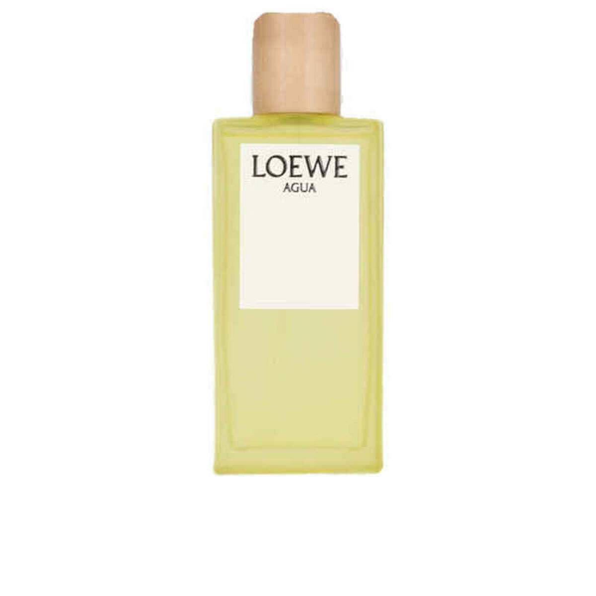 Loewe Agua Loewe Eau De Toilette 100ml Spray