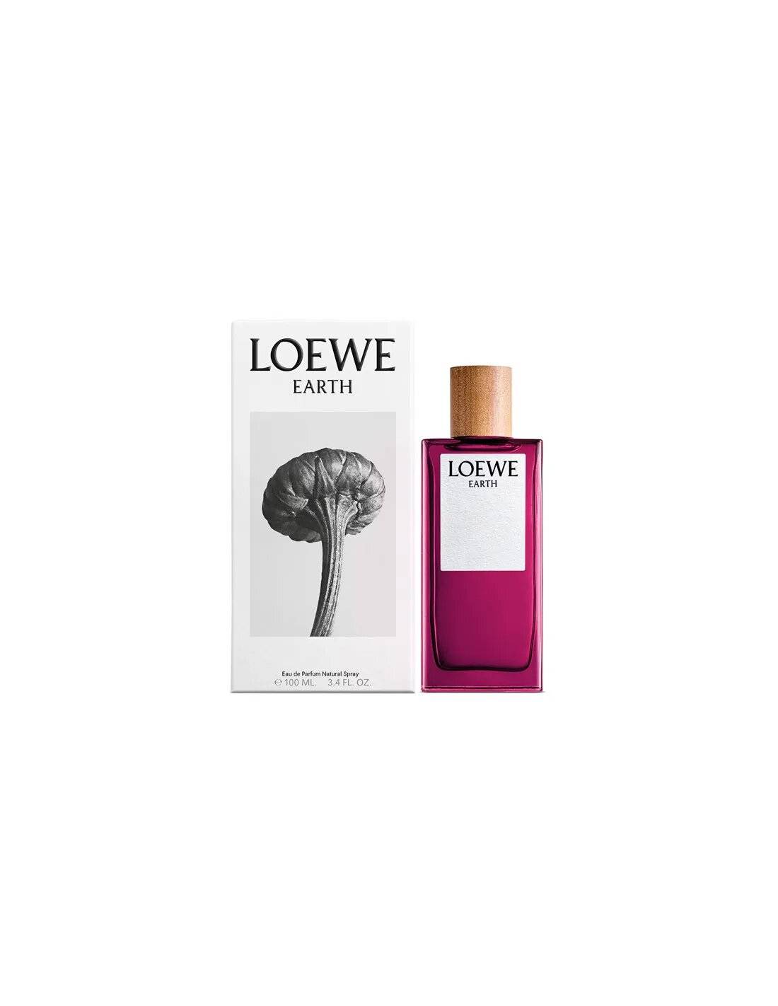 Loewe Earth Edp Spray LW100ml