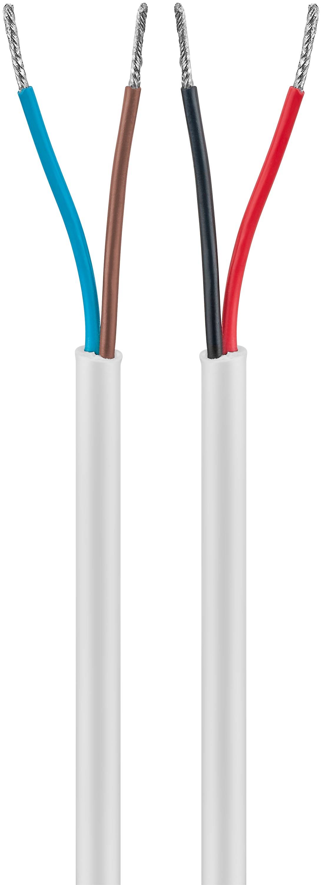 Zwei elektrische Drähte sind dargestellt. Links enthält der Draht ein blaues und braunes Kabel. Rechts enthält er rote und schwarze Kabel.