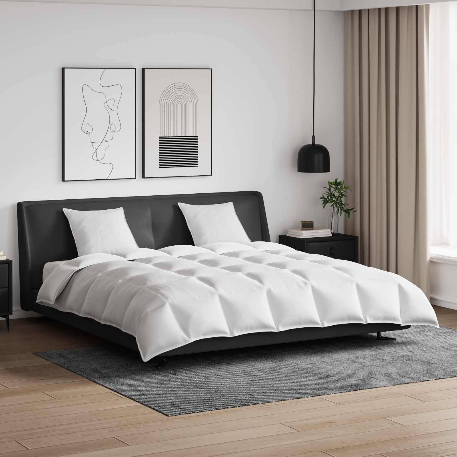 Modernes Schlafzimmer mit einem schwarzen Bettgestell, weißer Bettwäsche und zwei abstrakten Kunstwerken an der Wand. Natürliches Licht durch das Fenster.