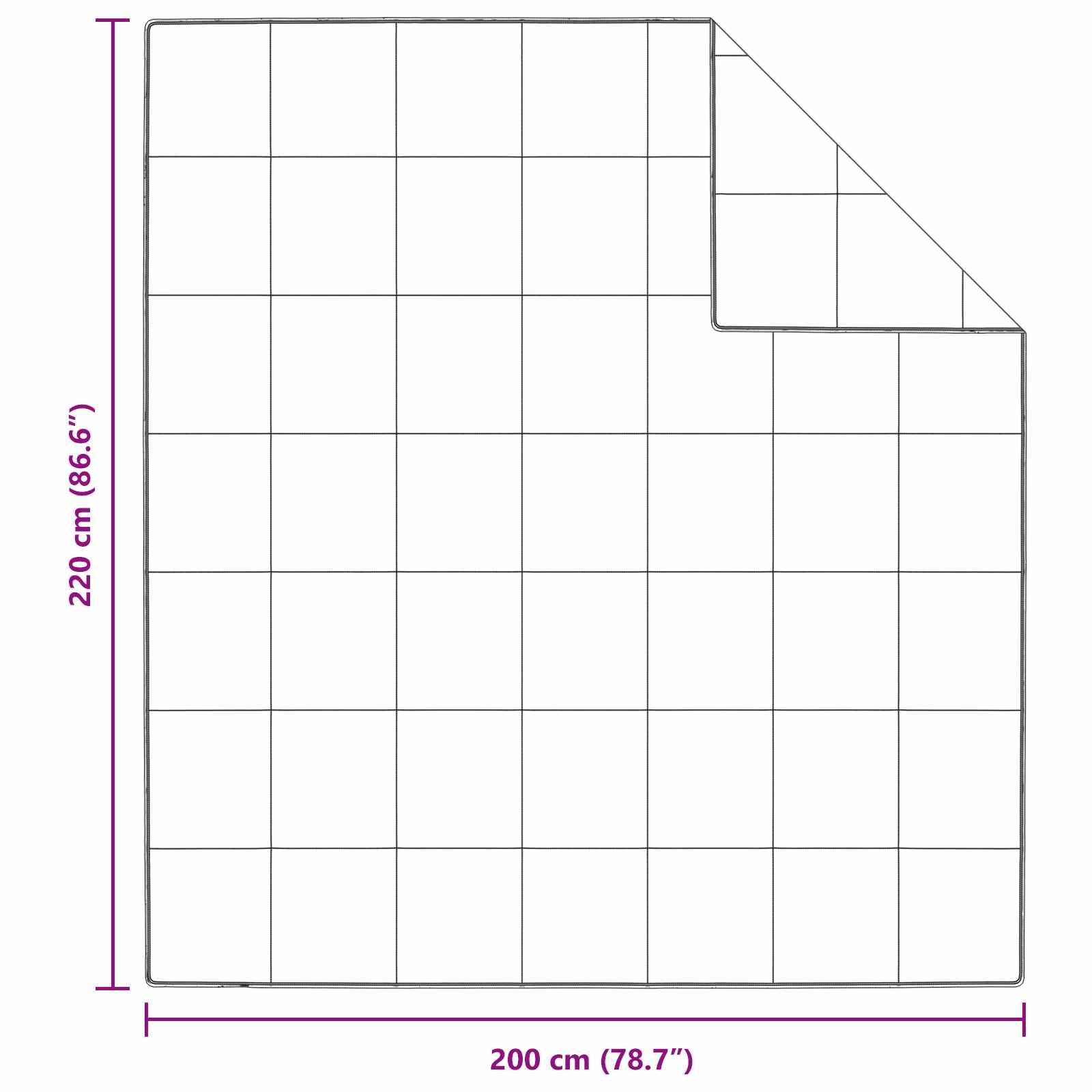Rasteranordnung, die einen rechteckigen Bereich von 220 cm x 200 cm mit einem Ausschnitt in der oberen rechten Ecke zeigt.