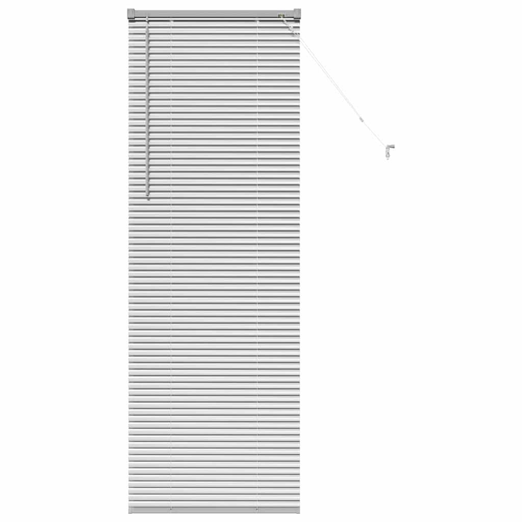 vidaXL Balkenjalousien Silber 175 x 55 cm Aluminium