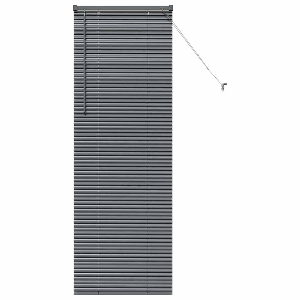 vidaXL Balkenjalousien Dunkelgrau 175 x 55 cm Aluminium