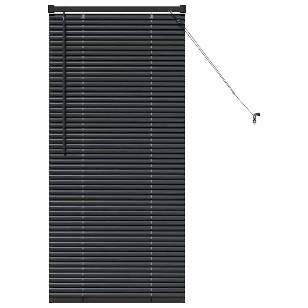 vidaXL Balkenjalousien Schwarz 60 x 2,5 x 130 cm Aluminium