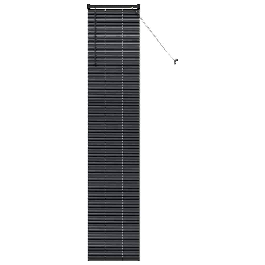 vidaXL Balkenjalousien Schwarz 220 x 45 cm Aluminium