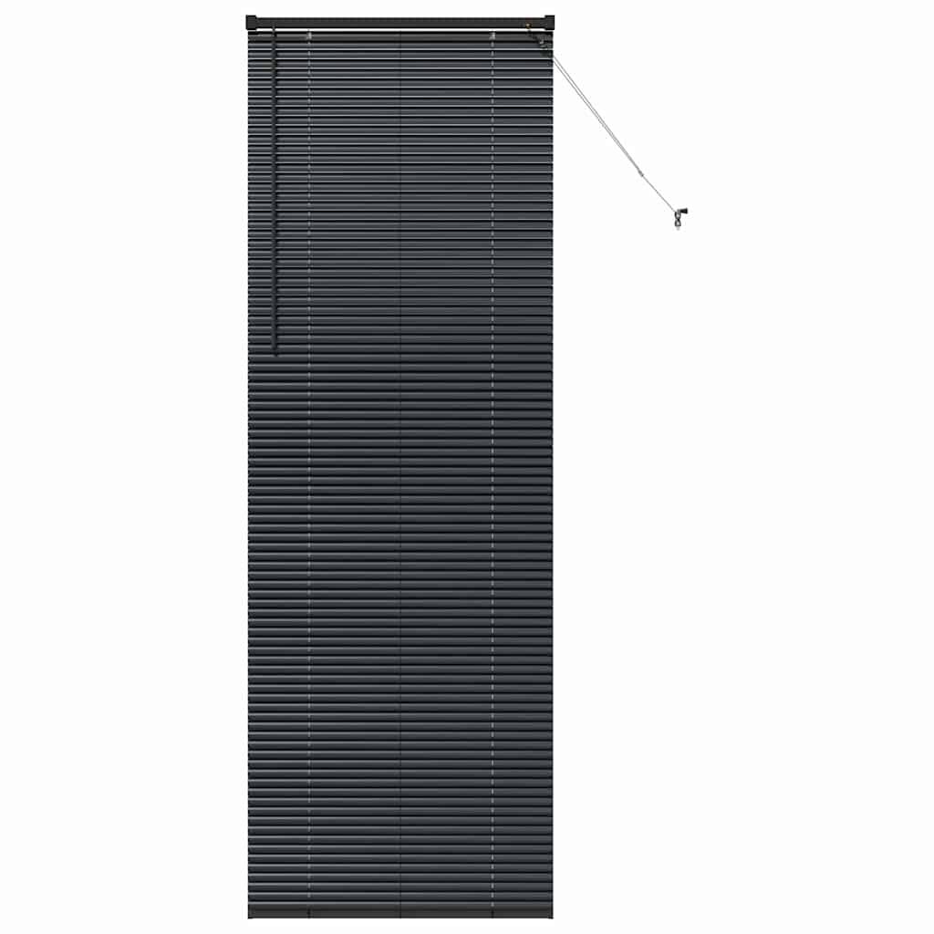 vidaXL Balkenjalousien Schwarz 220 x 75 cm Aluminium