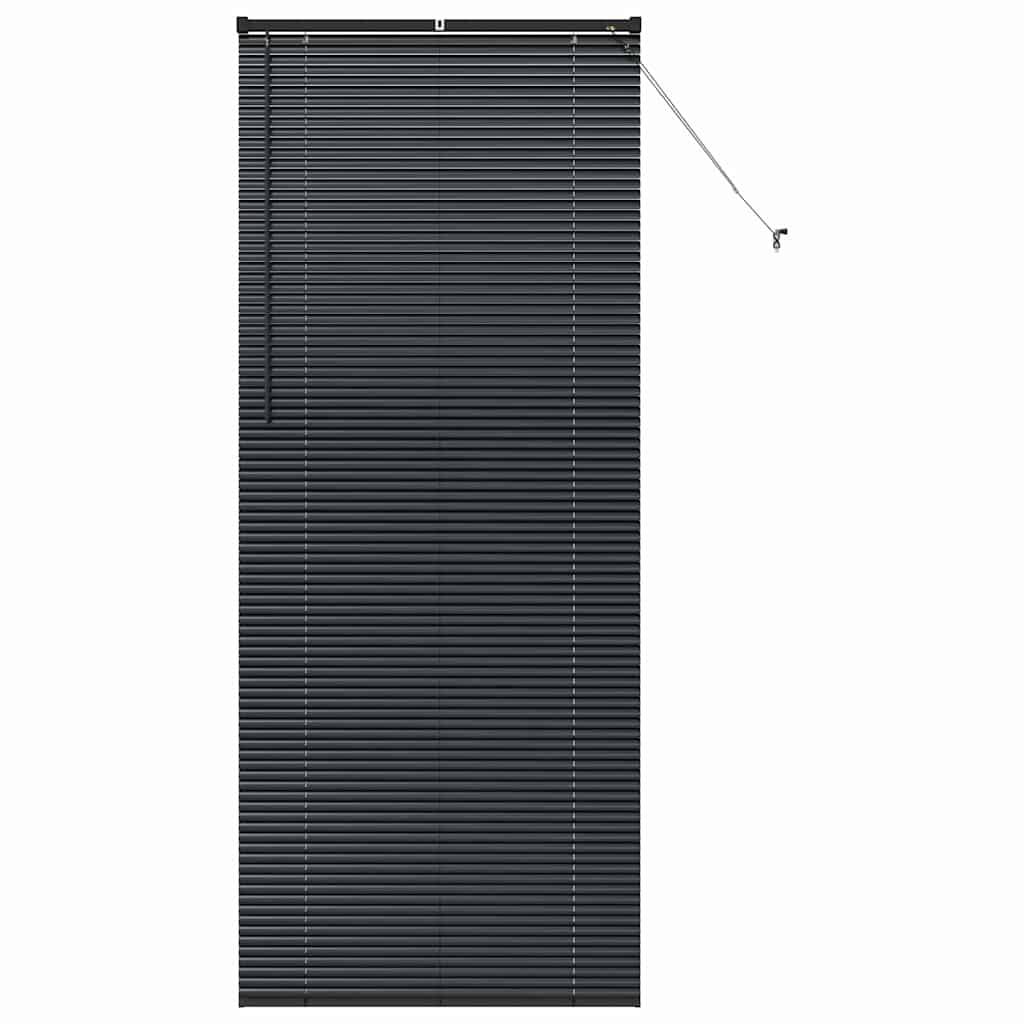 vidaXL Balkenjalousien Schwarz 220 x 90 cm Aluminium