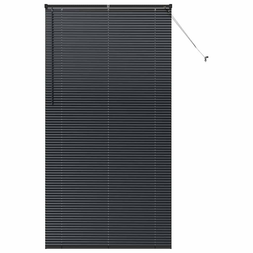 vidaXL Balkenjalousien Schwarz 220 x 120 cm Aluminium