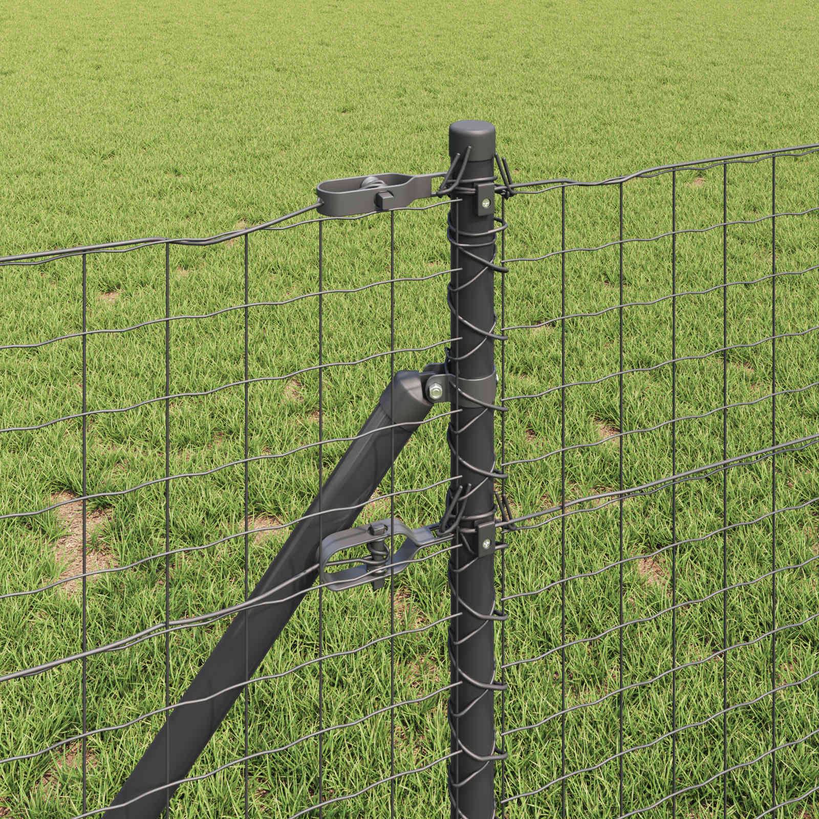 Nahaufnahme eines schwarzen Metallzauns mit einem Riegel, vor einem grünen Grashintergrund.