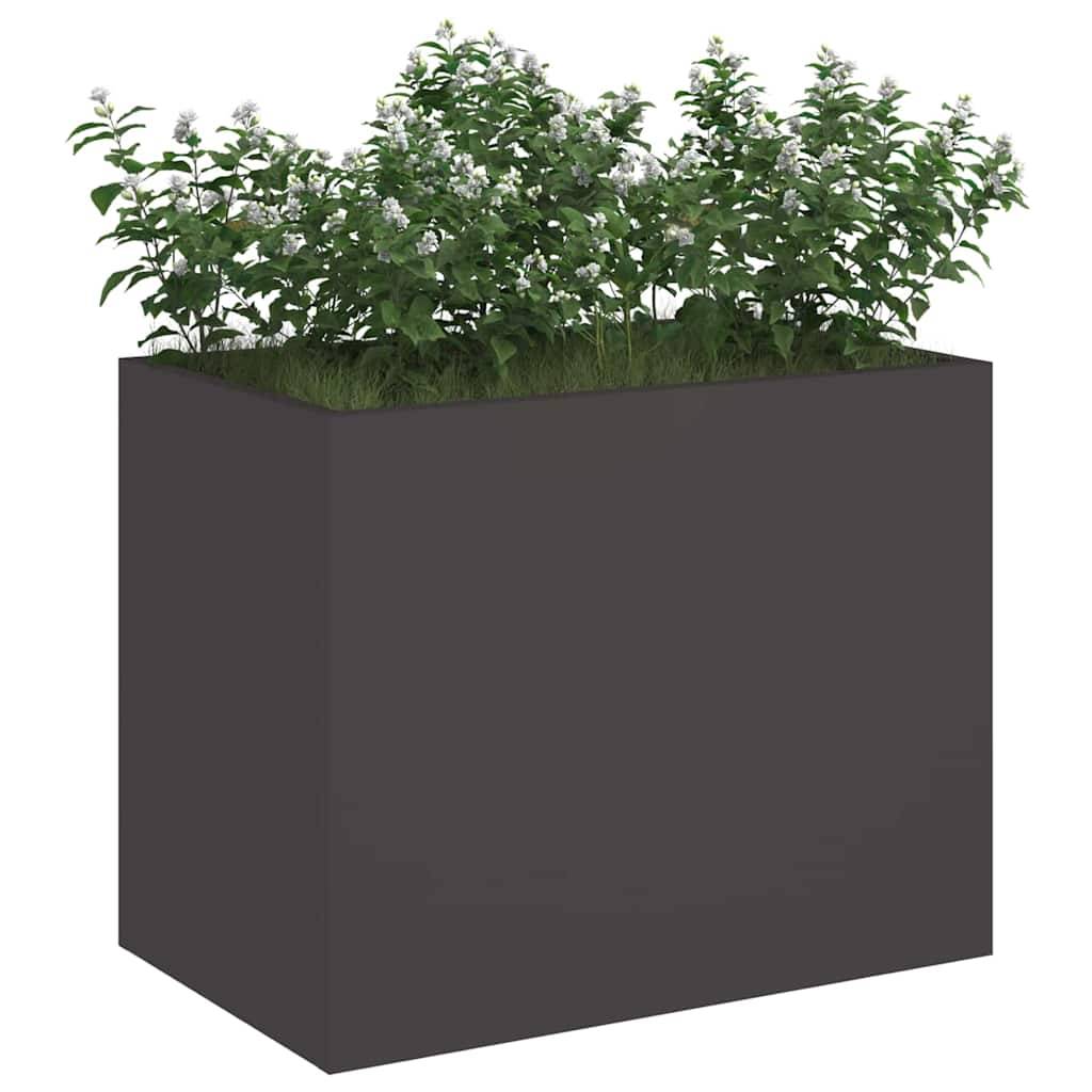 Eine rechteckige schwarze Pflanzbox, gefüllt mit üppigen grünen Pflanzen, die kleine weiße Blüten tragen.