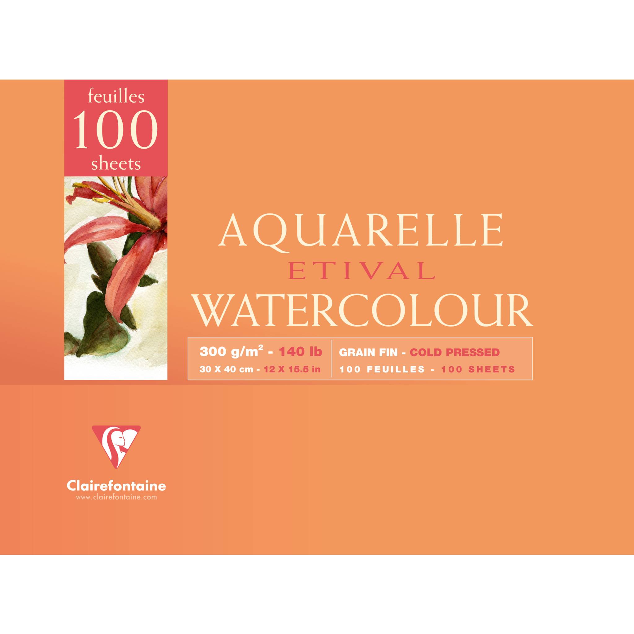 Clairefontaine 2x Aquarellpapier 2-seitig Block, 100 Bl 300g, 30x40cm 96788C