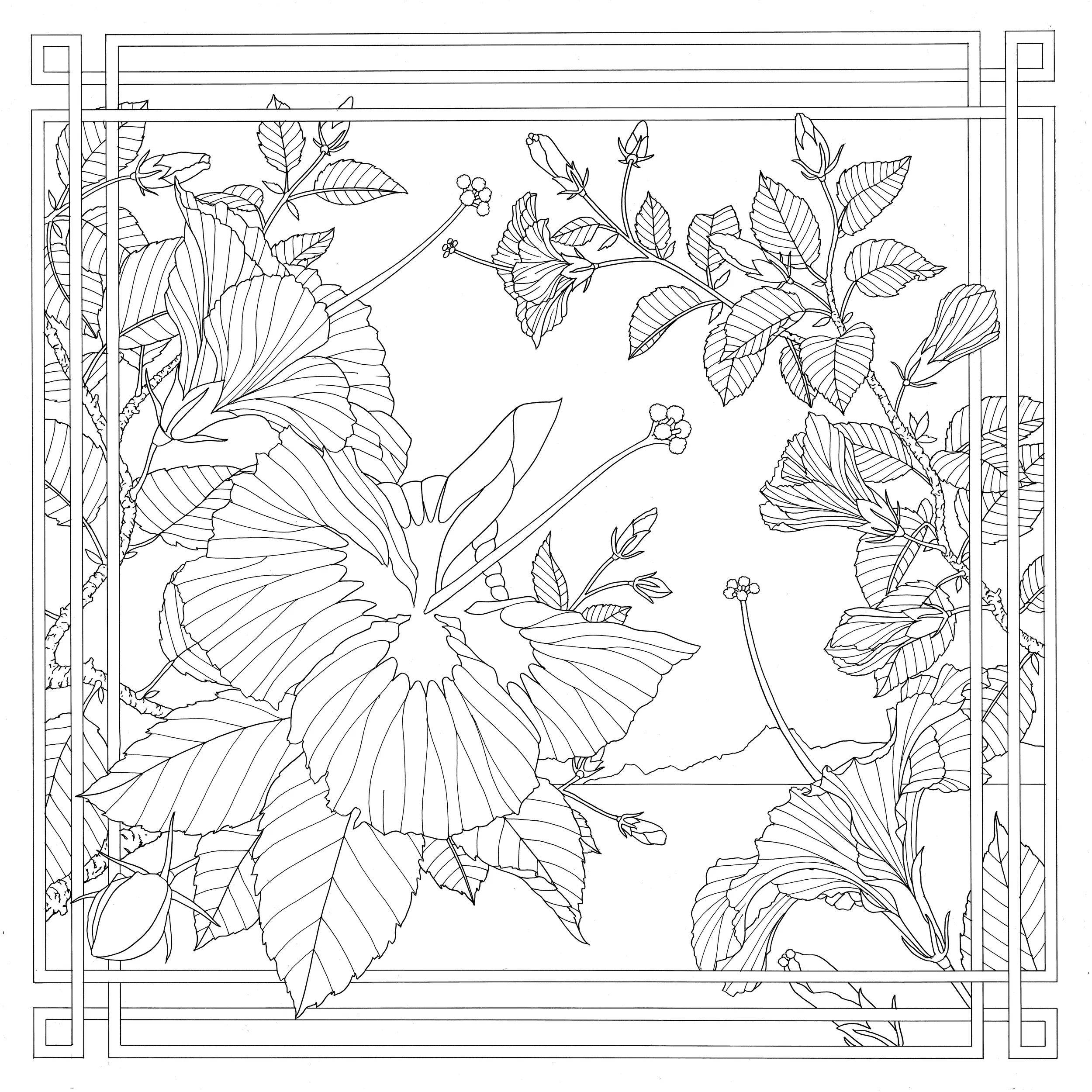 Eine aufwändige schwarzweiße Linienzeichnung von Hibiskusblüten und Blättern in einem dekorativen quadratischen Rahmen mit einem Berg im Hintergrund.