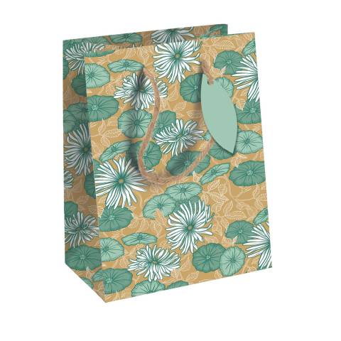 Clairefontaine 6x Geschenktasche Medium 21,5x10,2x25,3cm Grün 223926-3C