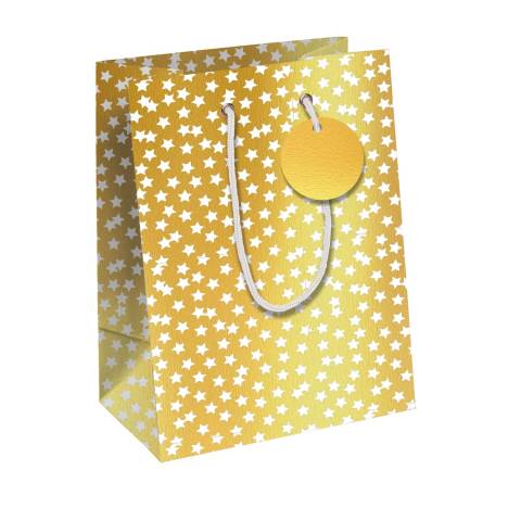 Clairefontaine 6x Geschenktasche Medium 21,5x10,2x25,3cm Gold 202112-3C