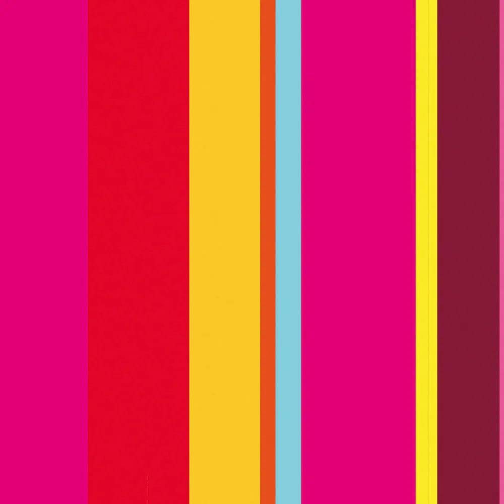 Pronappe Schachtel 400 Dekor-Tischsets, RC 80g 30x40cm Peppig/grell 334219I