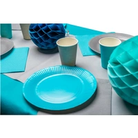 Pronappe 25x Runde Pappteller, 20 St Ø 23 cm, 100% plastikfrei Türkis 79216I Pronappe 25x Runde Pappteller, 20 St Ø 23 cm, 100% plastikfrei Türkis 79216I