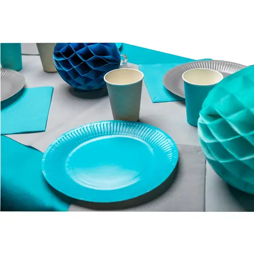 Pronappe 25x Runde Pappteller, 20 St Ø 23 cm, 100% plastikfrei Türkis 79216I Pronappe 25x Runde Pappteller, 20 St Ø 23 cm, 100% plastikfrei Türkis 79216I