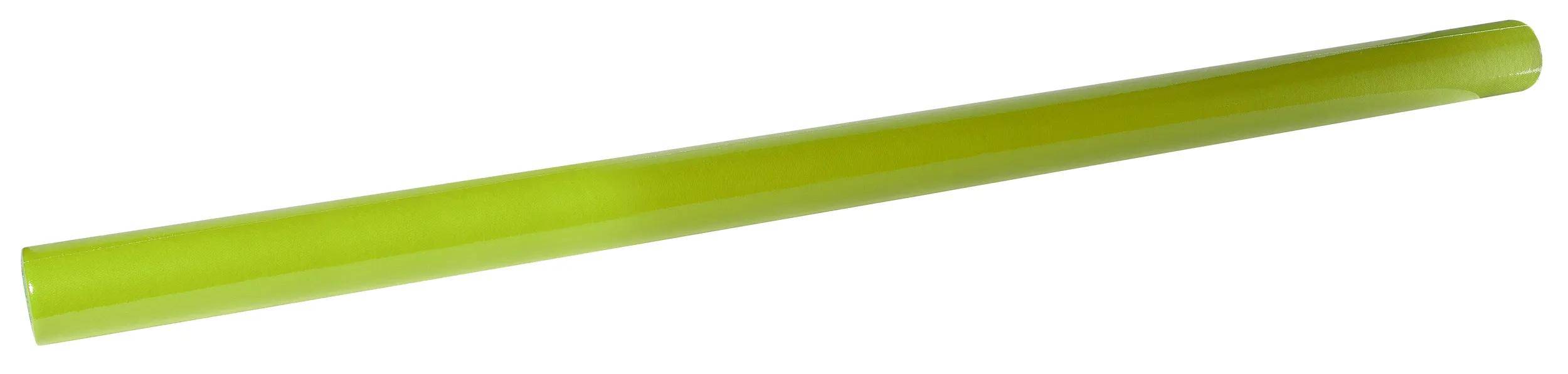 Eine Nahaufnahme eines einzelnen, langen, grünen Selleriestängels mit glatter Oberfläche vor einem weißen Hintergrund.