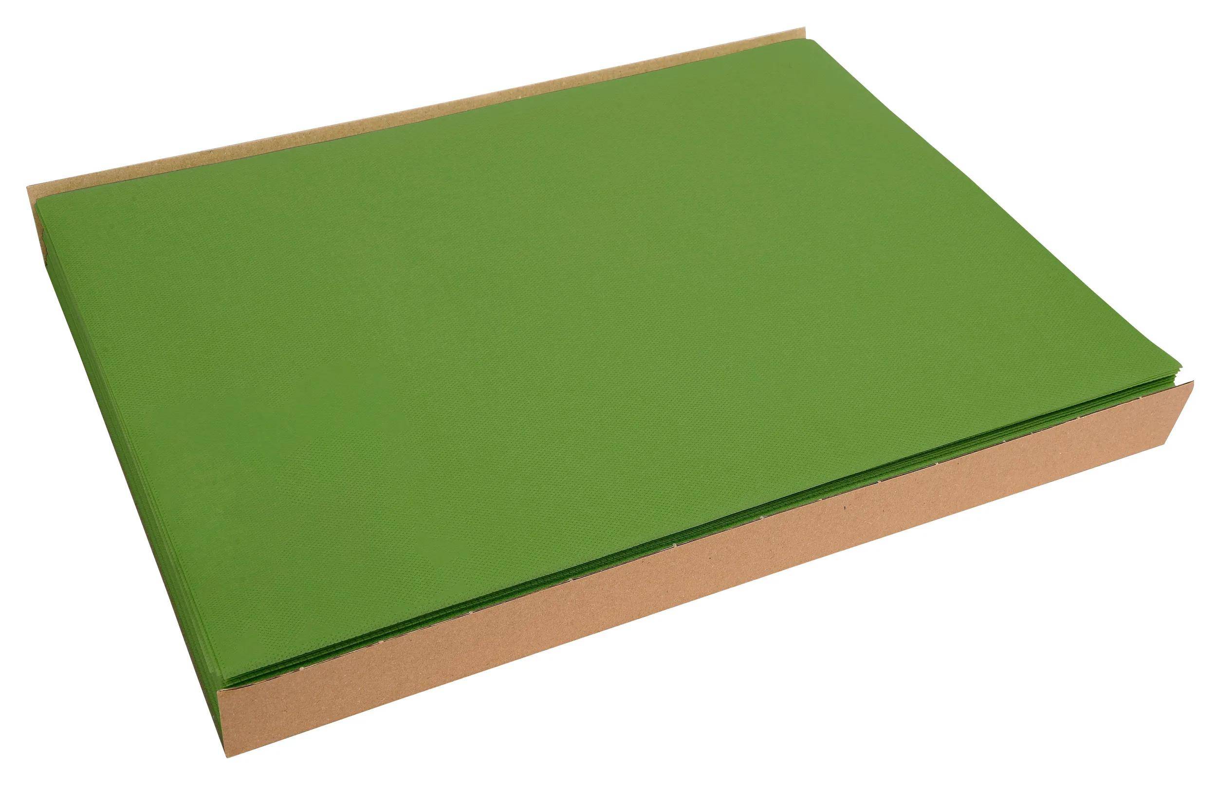 Pronappe 5x 100 Tischsets, Spunbond, einfarbig Format 30x40cm Olivgrün S340157I