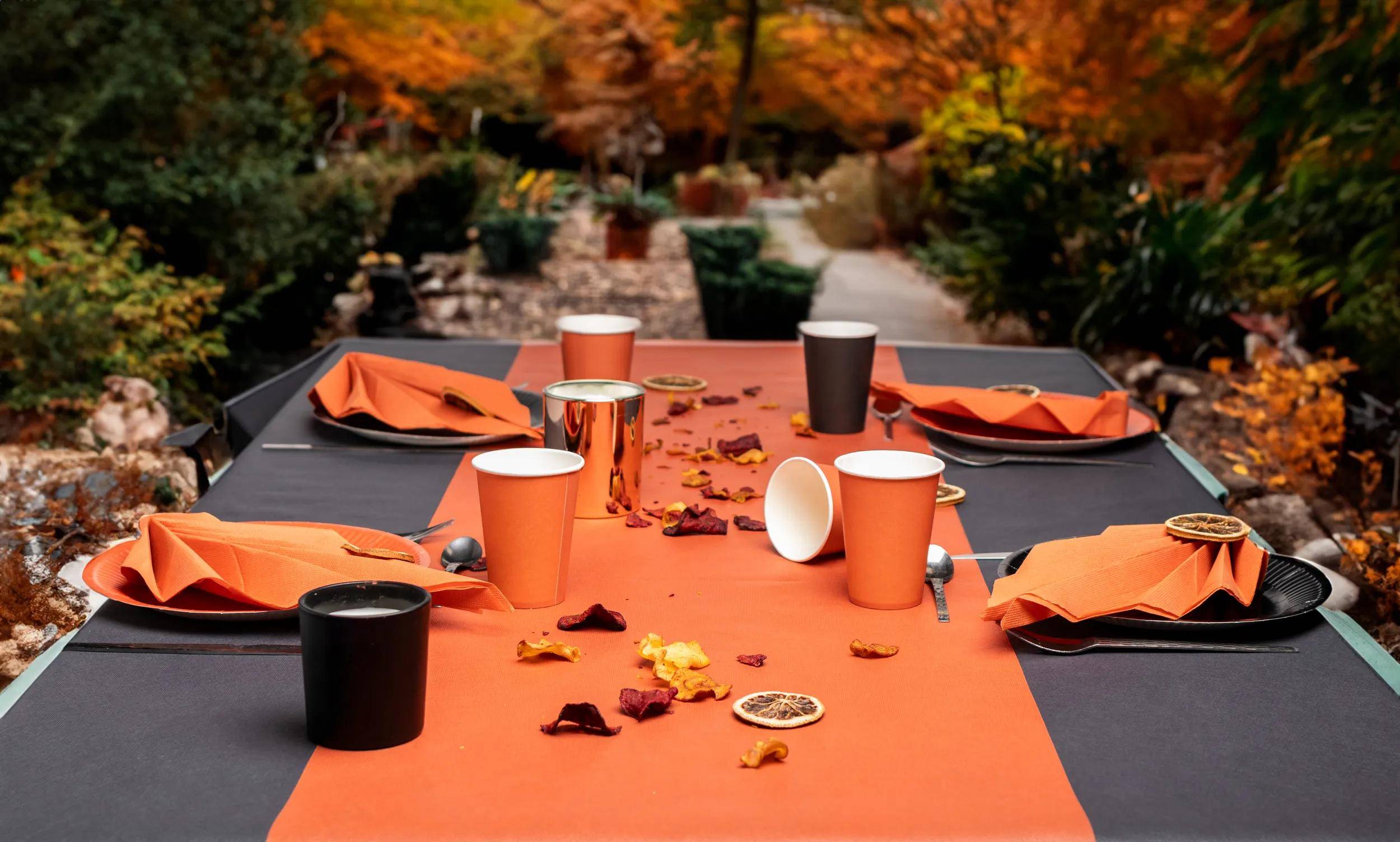 Ein Tisch, der im Freien mit orangefarbenen Servietten, Tassen und Herbstblättern vor einem Gartenhintergrund eingedeckt ist, was auf ein festliches Herbsttreffen hindeutet.
