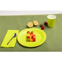 Pronappe 25x Runde Pappteller, 20 St Ø 23 cm, 100% plastikfrei Kiwigrün 79213I Pronappe 25x Runde Pappteller, 20 St Ø 23 cm, 100% plastikfrei Kiwigrün 79213I