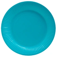Pronappe 25x Runde Pappteller, 20 St Ø 23 cm, 100% plastikfrei Türkis 79216I Pronappe 25x Runde Pappteller, 20 St Ø 23 cm, 100% plastikfrei Türkis 79216I