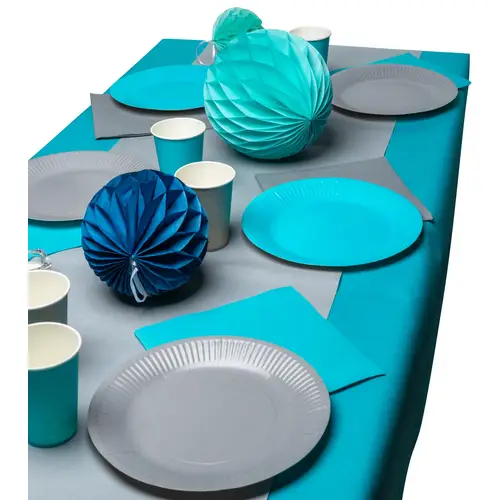Pronappe 25x Runde Pappteller, 20 St Ø 23 cm, 100% plastikfrei Türkis 79216I Pronappe 25x Runde Pappteller, 20 St Ø 23 cm, 100% plastikfrei Türkis 79216I