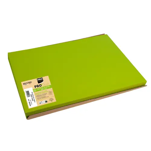 Pronappe 4x 500 Tischsets, Papier Tiss Lack, einfarbig 30x40cm Kiwigrün 304035I Pronappe 4x 500 Tischsets, Papier Tiss Lack, einfarbig 30x40cm Kiwigrün 304035I