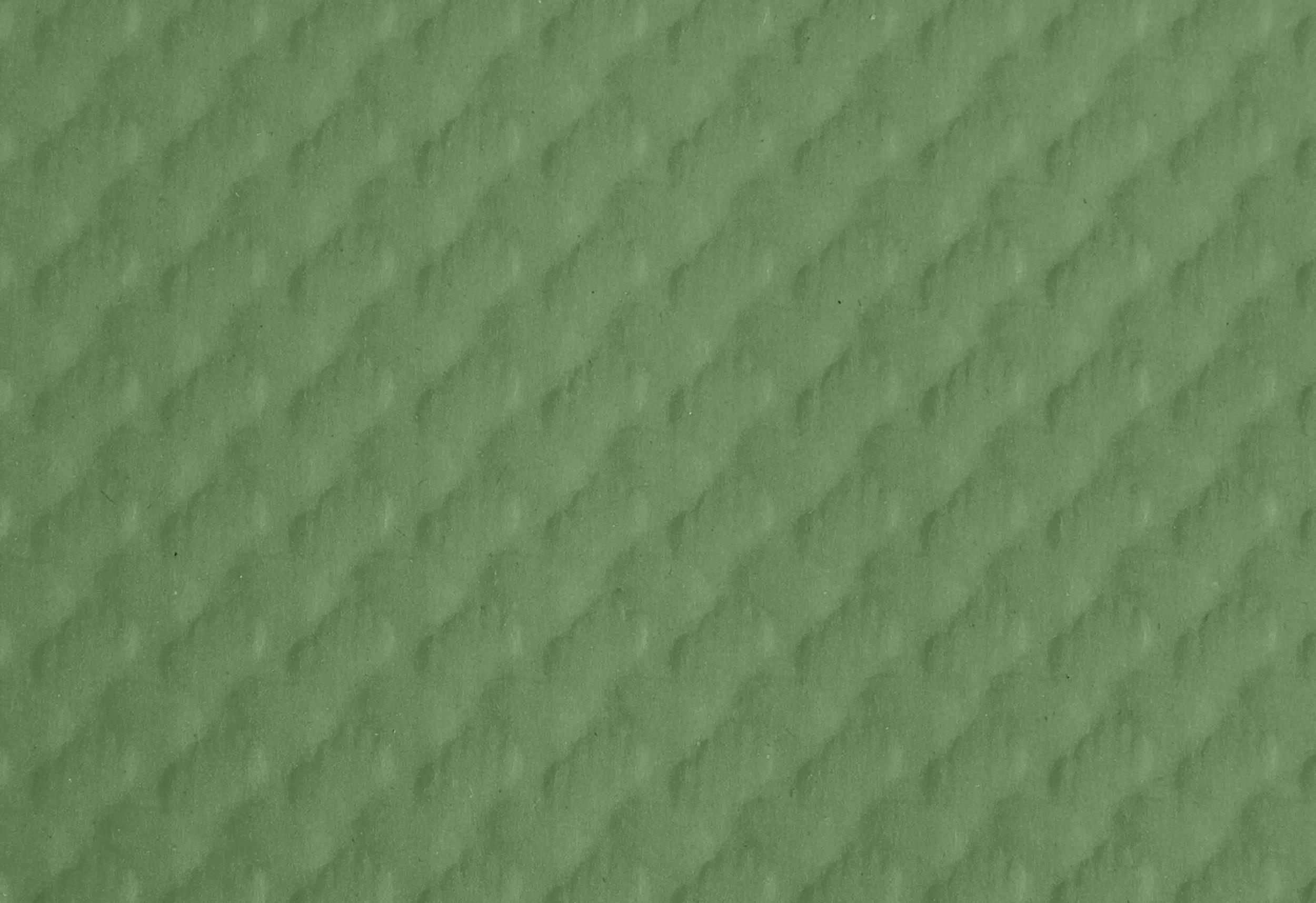 Pronappe 4x 500 Tischsets, Papier Tiss Lack, einfarbig 30x40cm Olivgrün 304057I