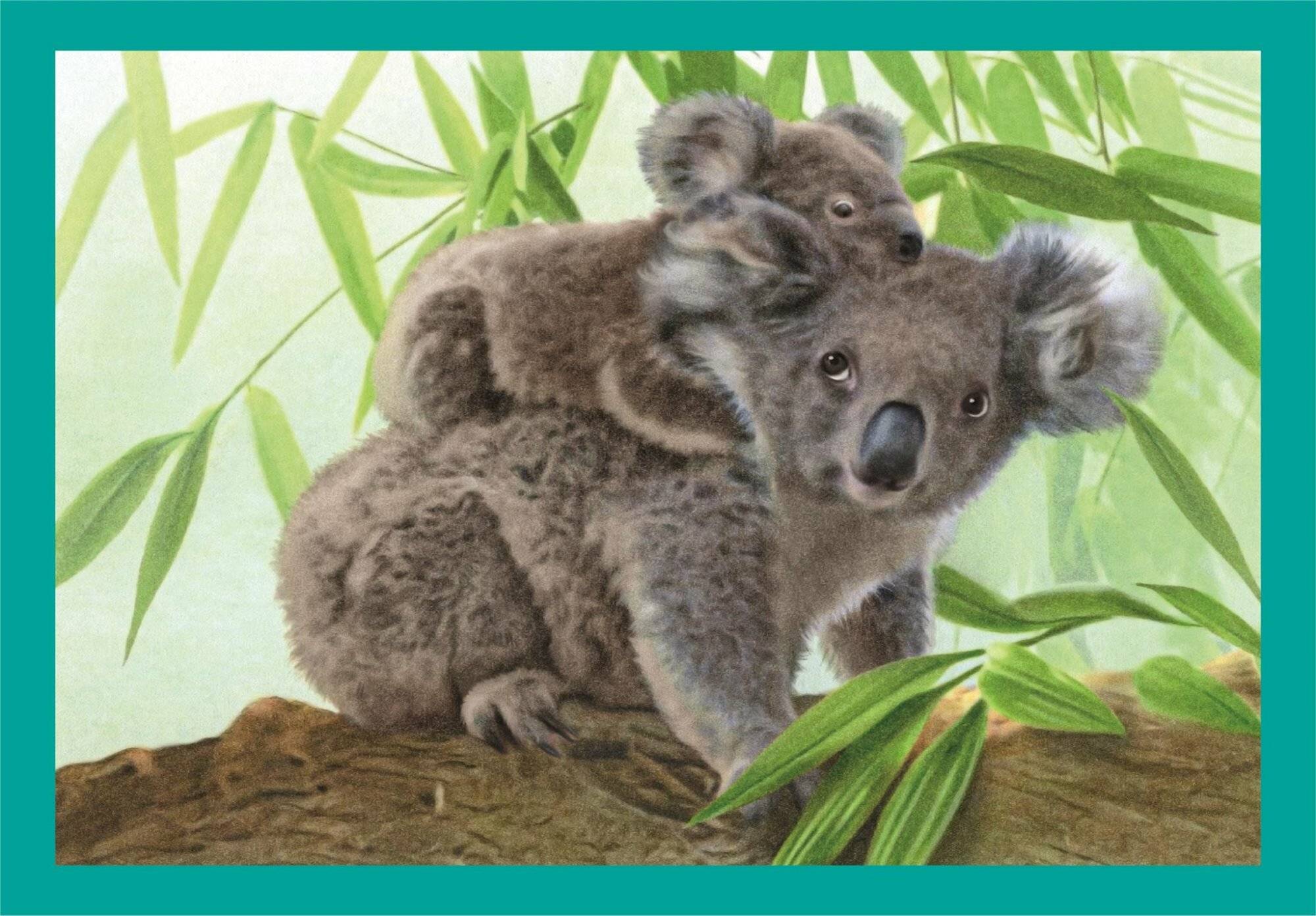 Noli Baby Kuschelpuzzle 12-16-20-24Stü ck