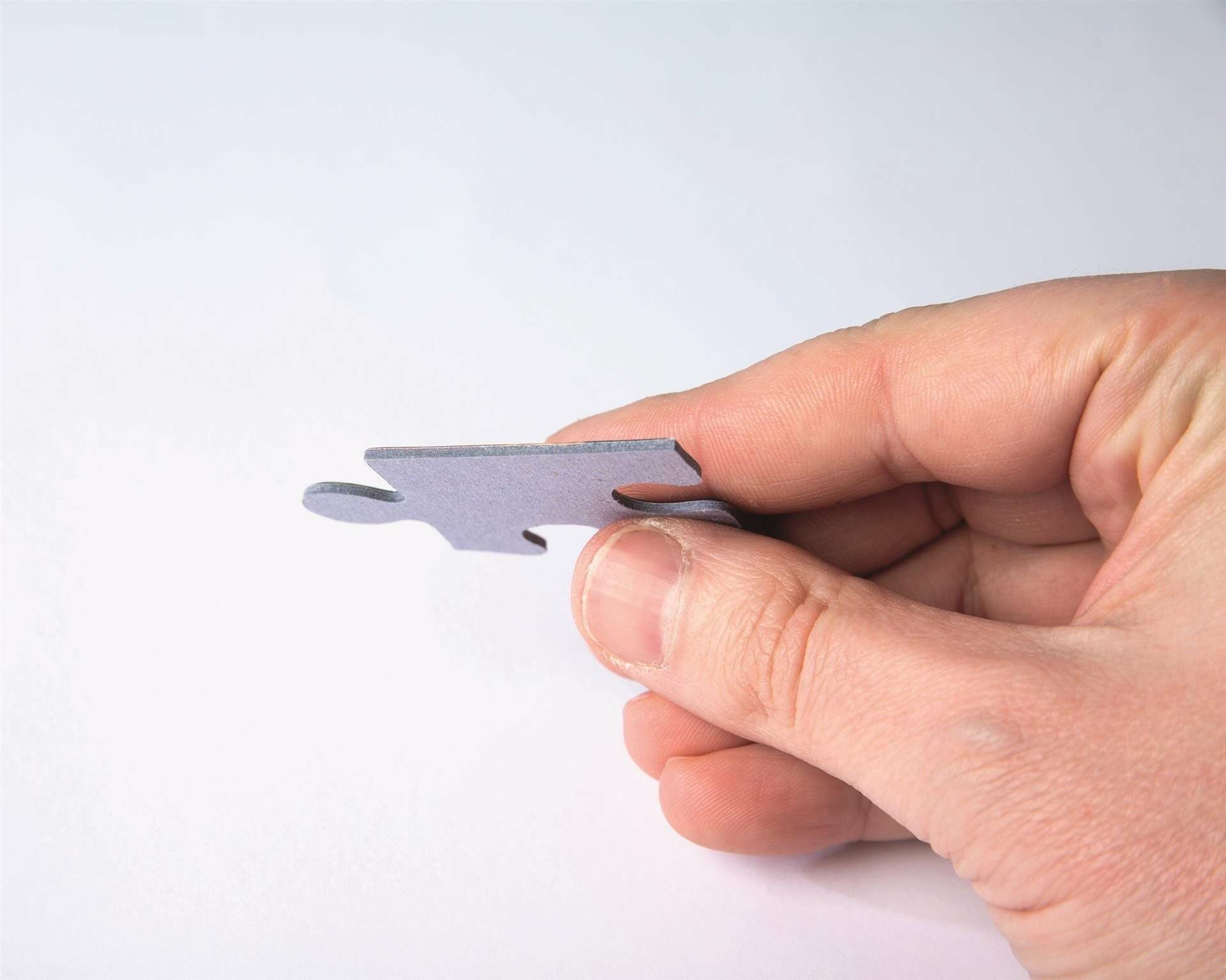 6000 Teile Puzzle - Gartenmuschel