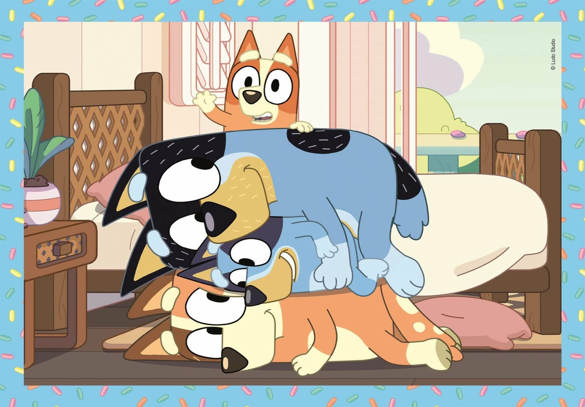 Blaues Rä tsel 12-16-20-24Stü ck