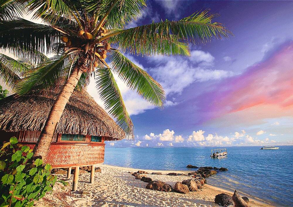 TREFL Bora-Bora Insel Puzzle 500 Teile