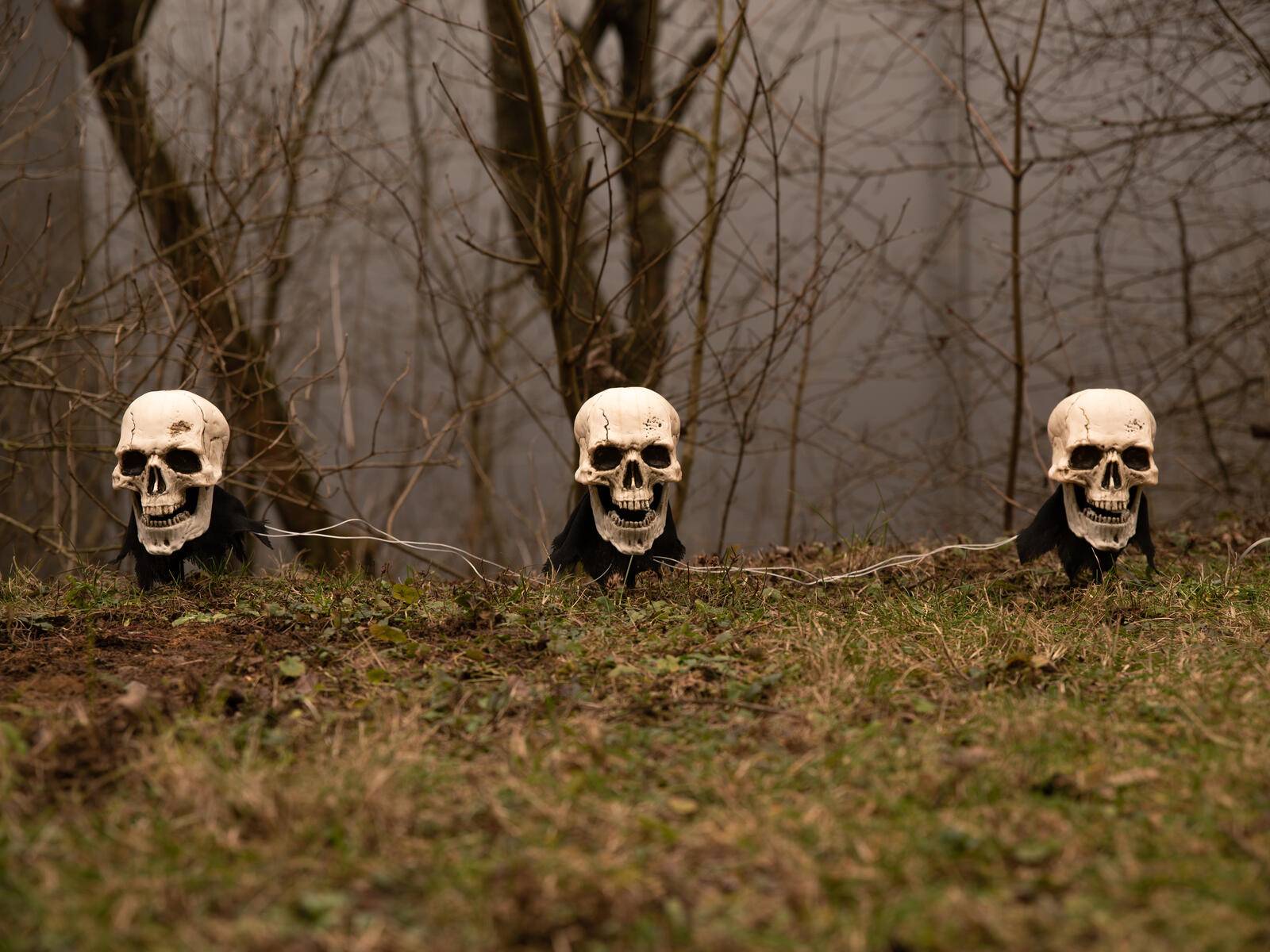 EUROPALMS Halloween Totenköpfe mit Erdspieß, 3er-Set, 29cm