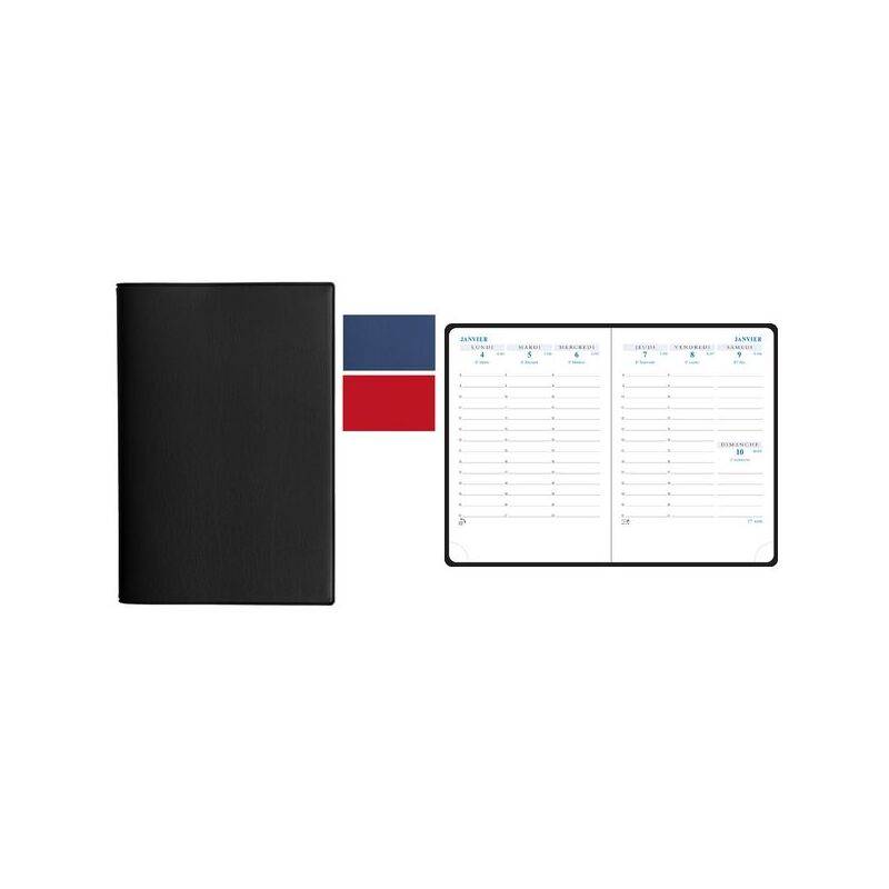 EXACOMPTA Taschenkalender Horizon 13, 2027, farbig sortiert