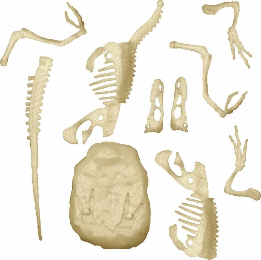 CLEMENTONI Wissenschaft&Spiele ArcheoFun: Velociraptor