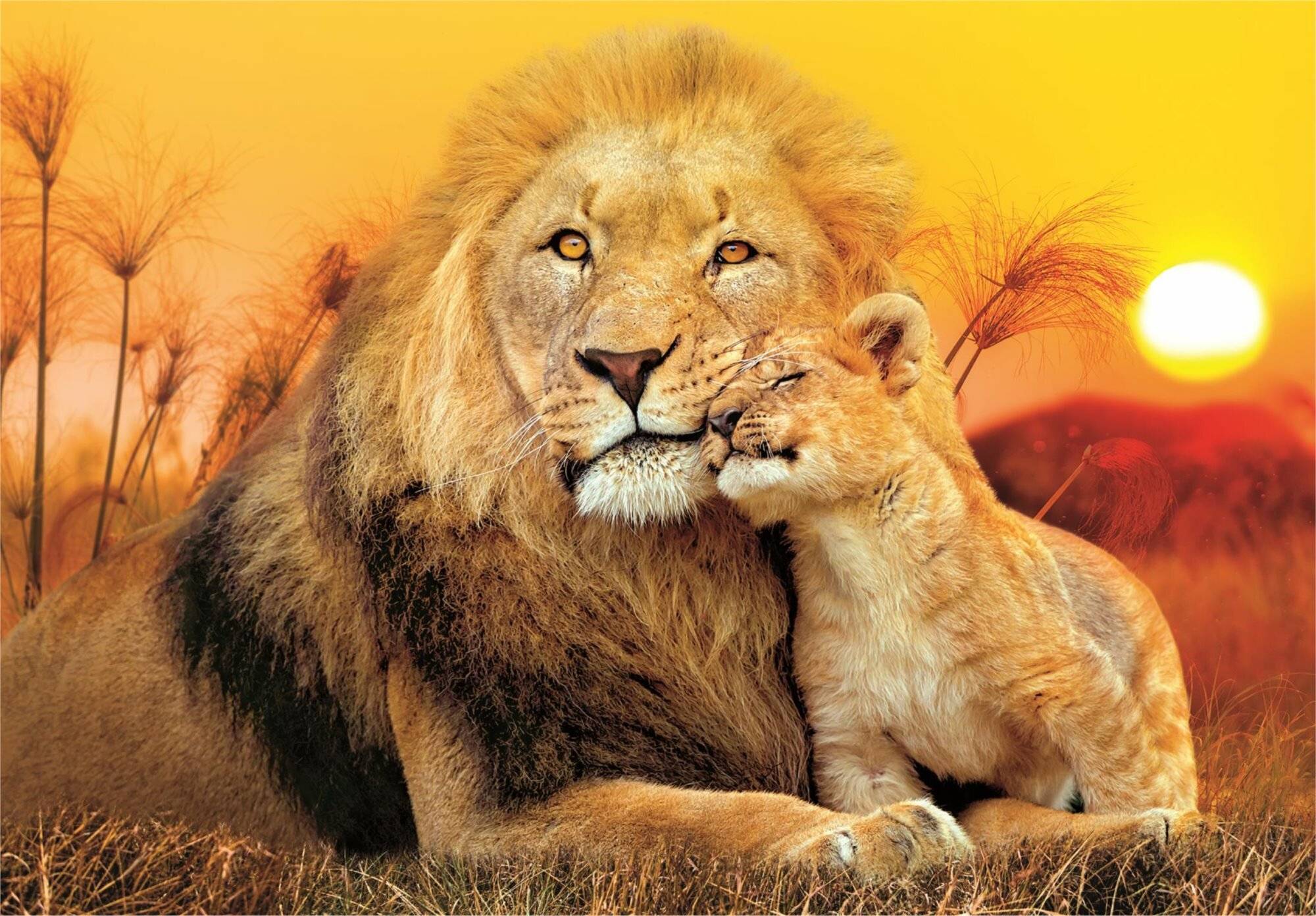 CLEMENTONI Puzzle Unerwartete Umarmung 180 Teile