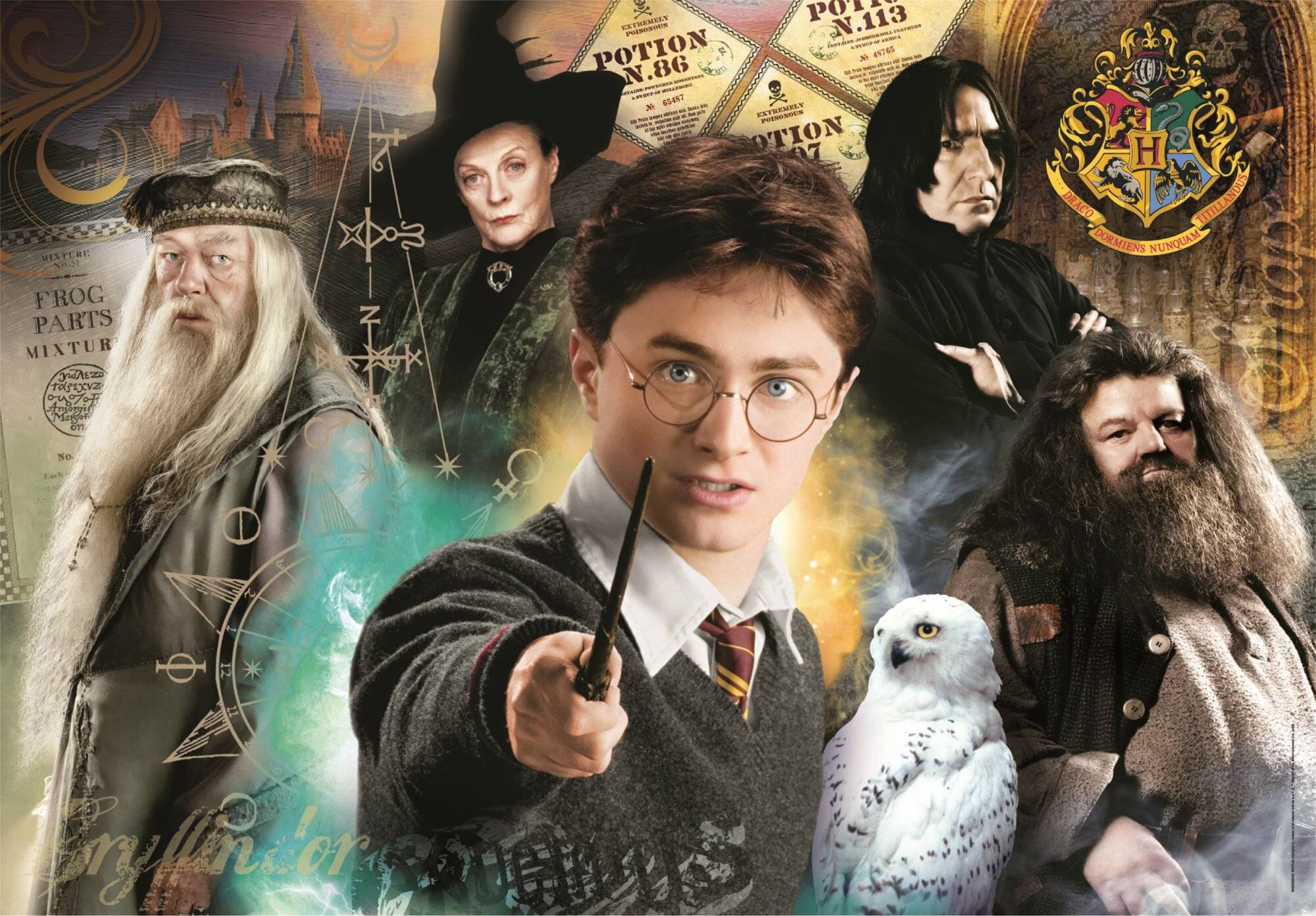 Harry Potter Puzzle 500Stü ck