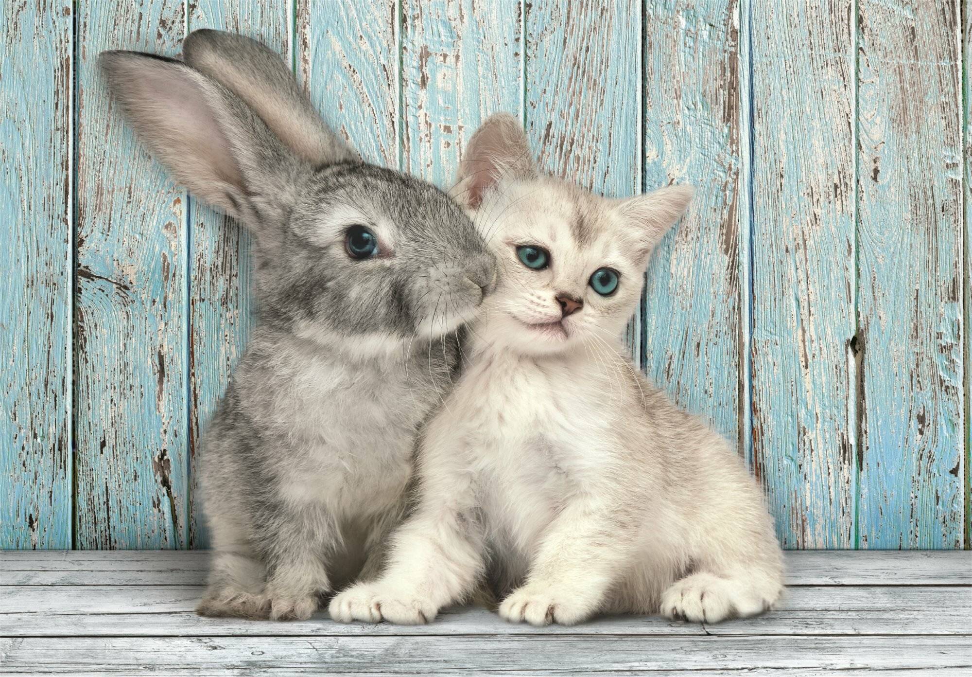 CLEMENTONI Puzzle Pferd und Hase 500 Teile