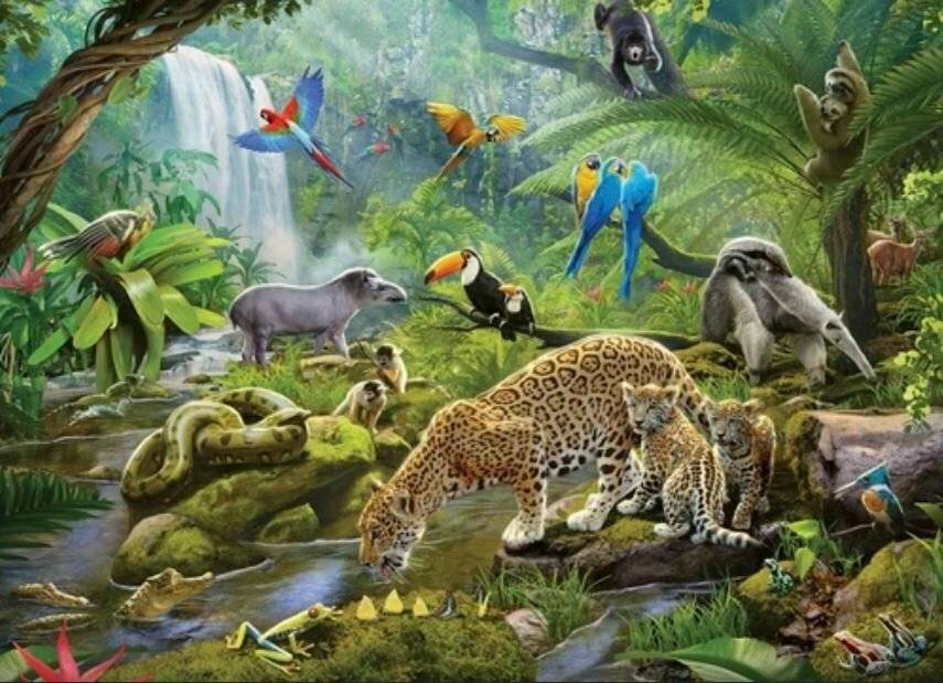 RAVENSBURGER Regenwald-Tiere Puzzle 60 Teile